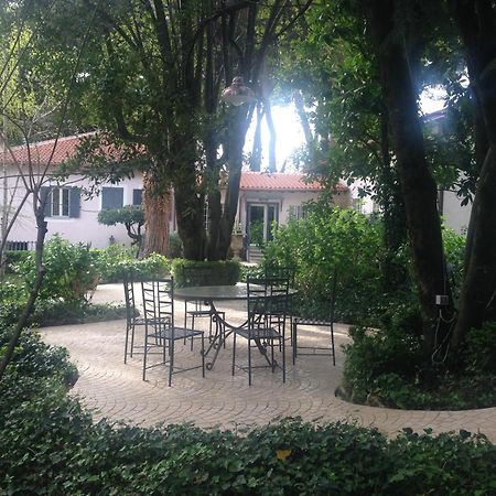 Villa Abbamer Grottaferrata Zewnętrze zdjęcie