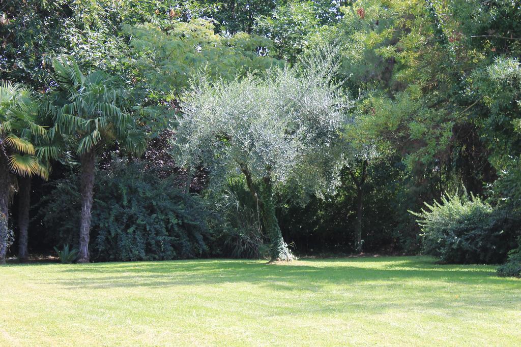Villa Abbamer Grottaferrata Zewnętrze zdjęcie