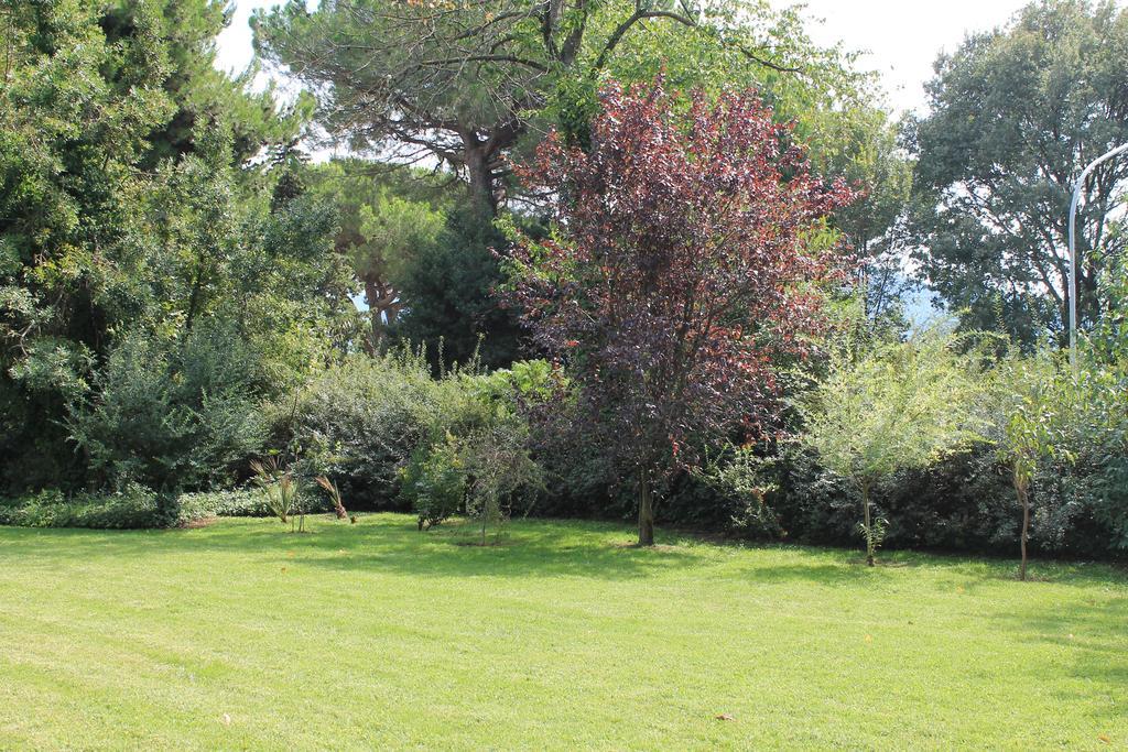 Villa Abbamer Grottaferrata Zewnętrze zdjęcie