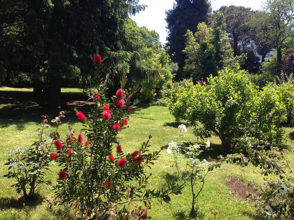 Villa Abbamer Grottaferrata Zewnętrze zdjęcie